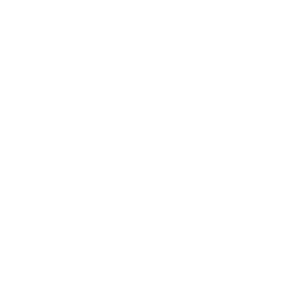 Primary Raster logo